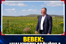 cb2d2d7c-c01e-4b04-9747-3a76d7502fee