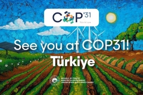 cop31-2477834.jpg