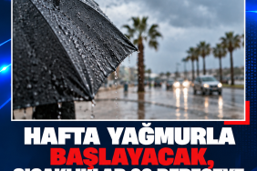 ed89d61d-f511-46e6-bab5-003def9686e0