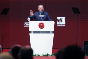erdogan-2494841.jpg