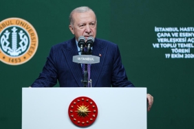 erdogan-2496549.jpg