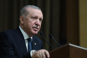 erdogan-2496842.jpg