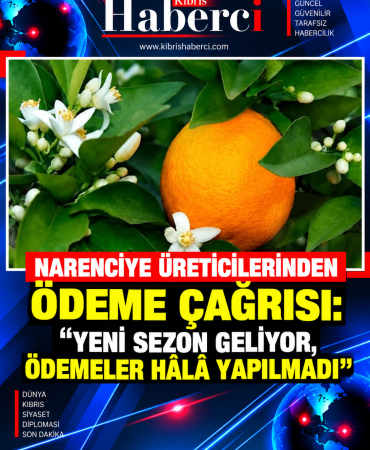 ff0d0d5e-0714-4ed2-8e57-19828cf8f8b1