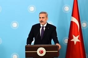 fidan-aa-2494426.jpg