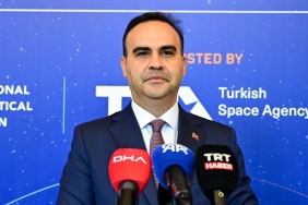 kacir-2493385.jpg