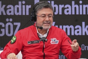 yumakli-aa-2493291.jpg